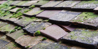 Tetchwick roof repair costs